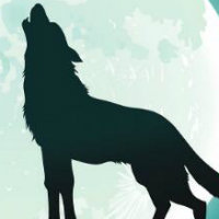 wolf large avatar