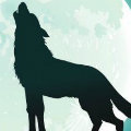 wolf medium avatar